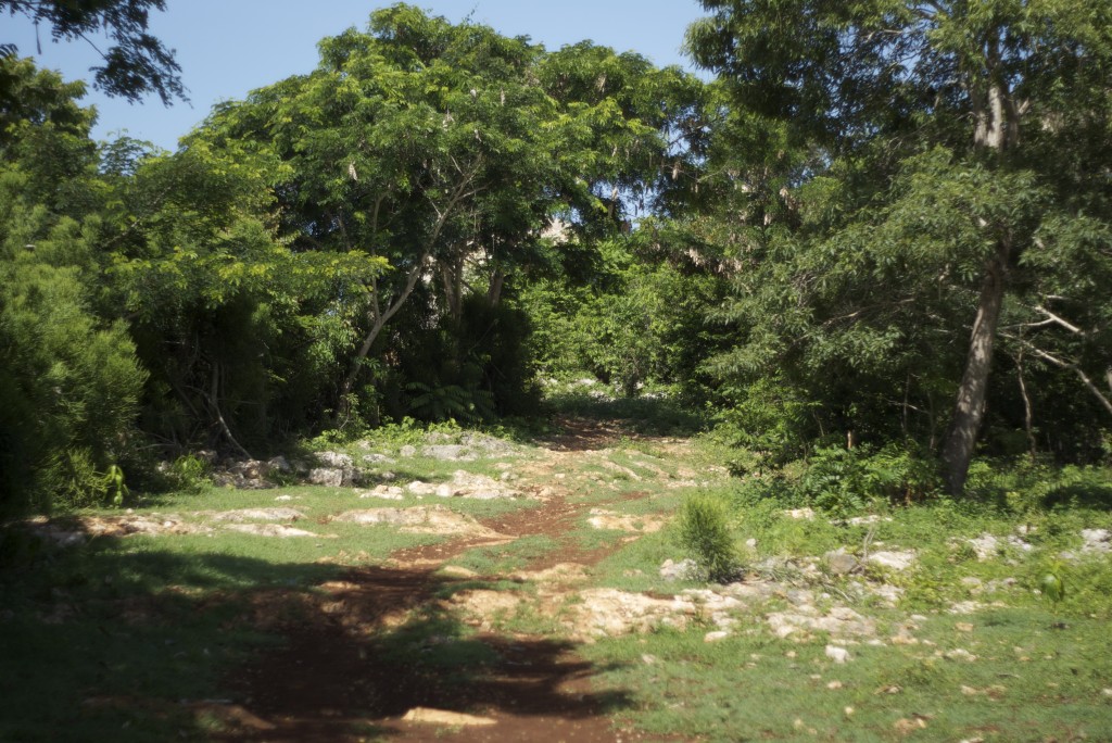 la gonave haiti la gonave haiti