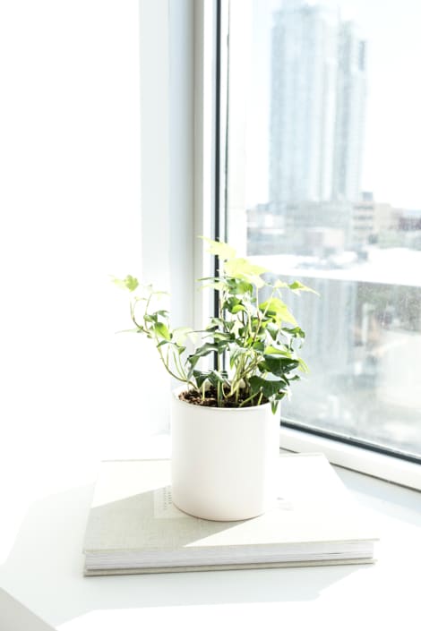 haute-stock-photography-urban-vibes-10