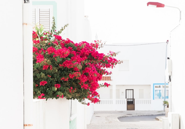 haute-stock-photography-wanderlust-final-22