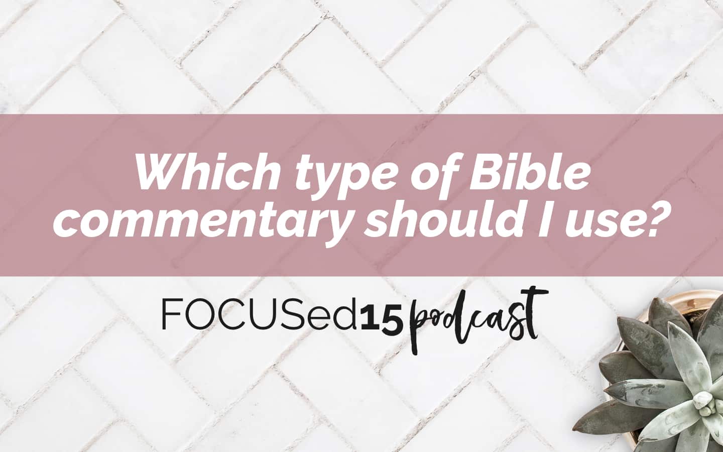 type of bible commentary