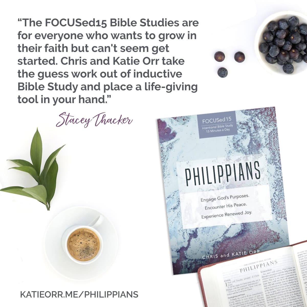 online bible study aids