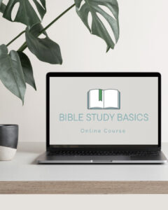 BSBundle Items 1080x1350.018