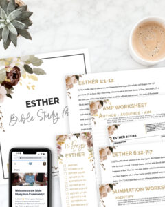 BSBundle Items 1080x1350.025